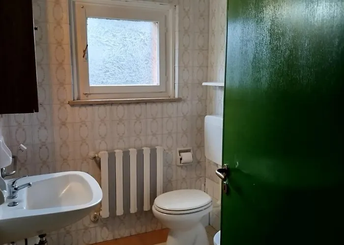 Amica سالسوماجّوري تيرمي